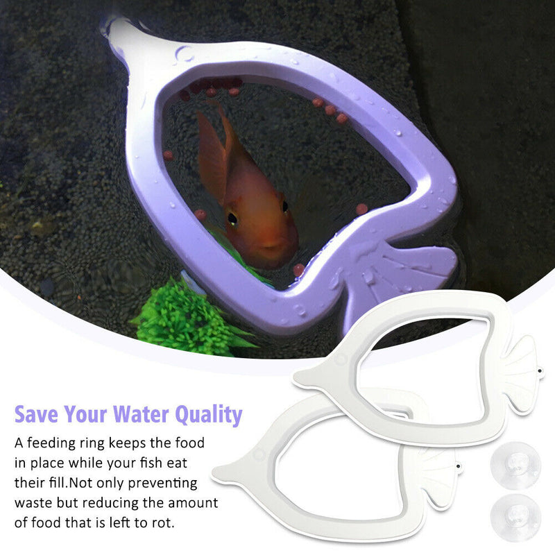 2pcs With Suction Cup Aquarium Feeding Ring Floating Food Circle Pet Supplies