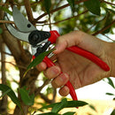 8'' 205mm Pruner Pruning Secateurs Shears Garden Plants Flower Shrub Cutter
