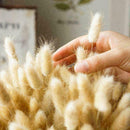 60Pcs Natural Rabbit Dog Tail Grass Bouquets Dried Flowers Wedding Decor Set #