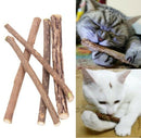 Cat Cleaning Teeth Pure Natural Catnip Pet Cat Molar Toothpaste Stick Toys