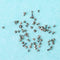 Full Screws Set Bottom Star Screw Kit Repair Bolt Inner Parts for iPhone5