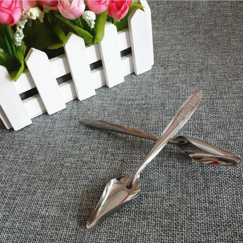 Pet Bird Parrot Cockatiel Metal Hand Milk Food Medicine Feeding Spoon  New