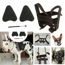 Dog Puppy Ear Care Standing Tool Suit For Samoyed, Great Dane Ear Correction