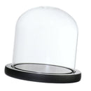 Glass Display Dome Cloche Bell Jar With Wooden Base for DIY Decor_Black E