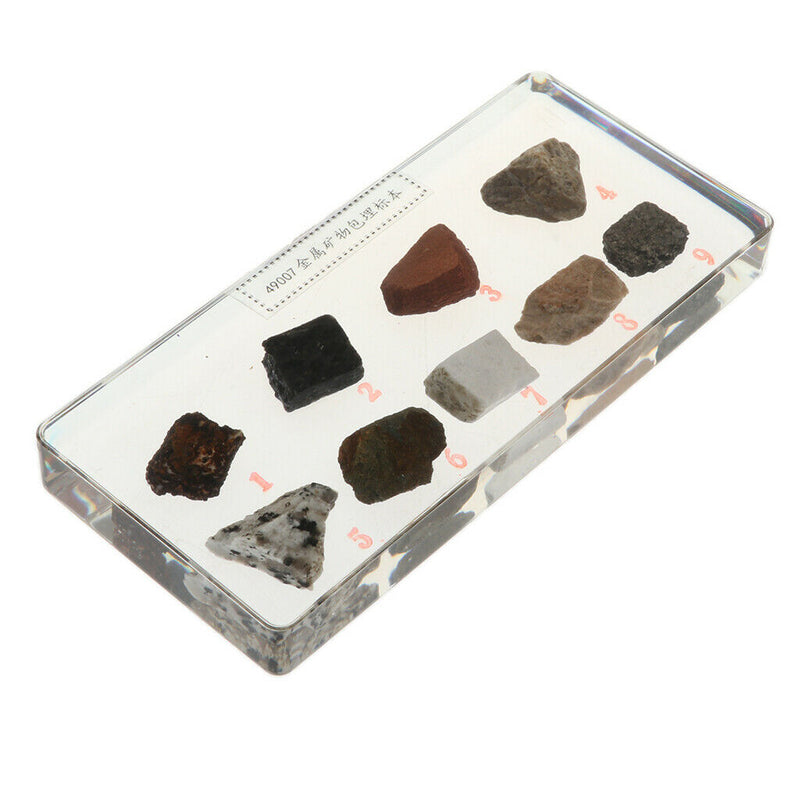 Real Rock And Mineral Geology Science Specimen Paperweight Collectible Gift