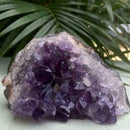Natural Amethyst Quartz Geode Druzy Crystal Cluster Specimen Healing Best G3I1