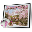 DIY Digital Oil Painting By Numbers River Peach Blossom Landscape Picture