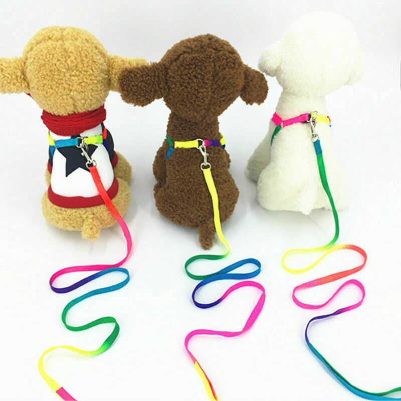 Small Pet Dog Puppy Cat Kitten Harness for Walking Lead Leash Collar AU C1A1