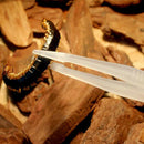 1Pc Reptile Tweezers Noctilucent Clip Feeding Tongs Live Food Feeding Clam Kw