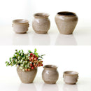 Luxury Beige Glaze Ceramic Succulent Flower Pot Planter Garden Decor for Home