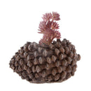 Artificial Foliage Succulent Sedum Hispanicu Plant Weddin Party Vivid Decor