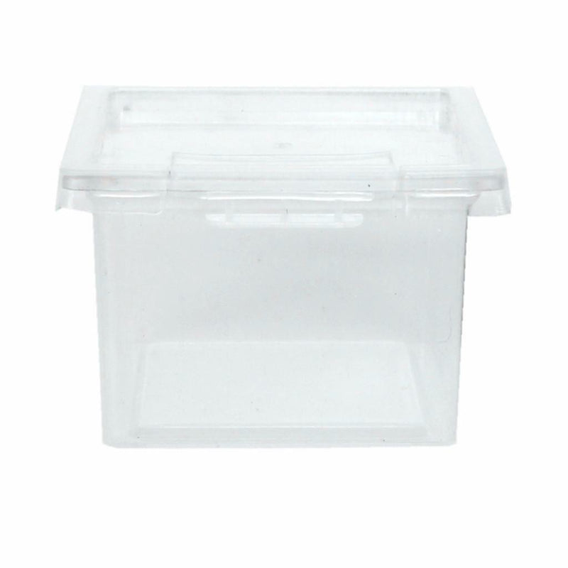 10x Feeding Container for Reptiles Insects Spider Tarantula Tanks Box H1