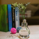 Transparent Glass Bulb Shape Table Vase for Plants Flowers Home Garden Wedd E8O1