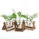 Creative bulb vase plant glass hydroponic container farm decoration wooden  B2M7