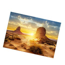 Aquarium   Tank Background Poster Desert Vivarium Decor 122x61cm