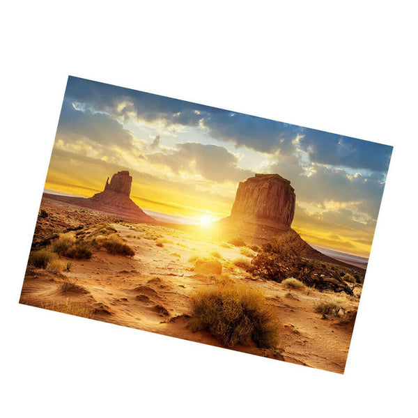 Aquarium   Tank Background Poster Desert Vivarium Decor 122x61cm