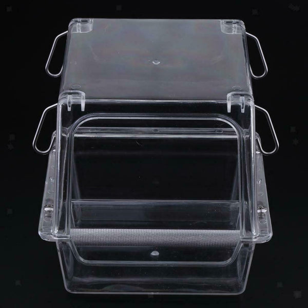 Window Bird Feeder For Small Birds Lovebirds