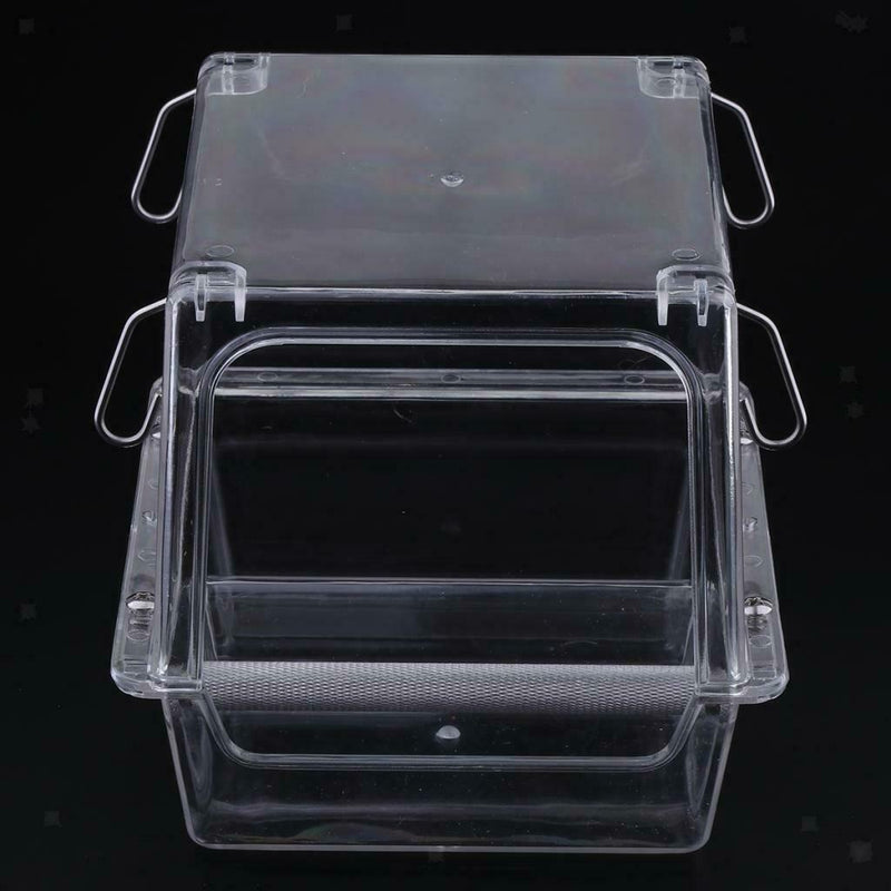 Window Bird Feeder For Small Birds Lovebirds