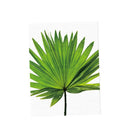 3 Pcs Green Palmetto Canvas Oil Painting Picture Unframed Wall Decor Art M