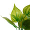 Artificial Plastic Grass Weed Plant Aquarium Ornament Fish Tank Decor(S) A