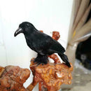 Artificial Crow Black Bird Raven Prop Decor For Halloween Display Event Par