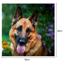 Dog 5D Round Diamond Painting Embroidery DIY Needlework Cross Stitch Set