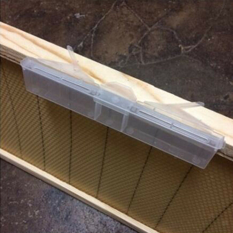 6pcs/set Small Beetle Traps  Beekeeping Tools Friendly Safe 17x3cm