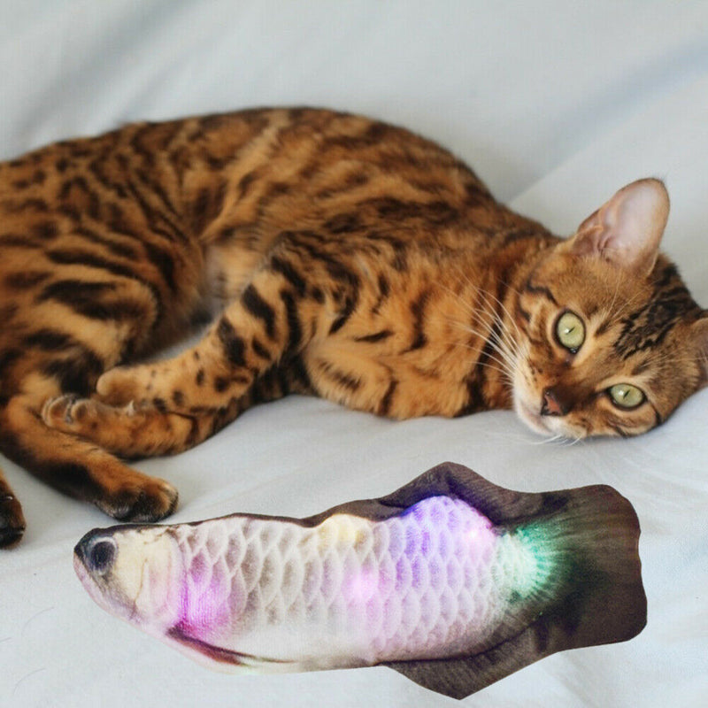 Simulation Moving Fish Electric Cat Chew Bite Toys USB (F Sliver Arowana) A