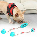 New Pet Cats Dogs Interactive Suction Cup Push TPR Treat Ball Toys Elastic