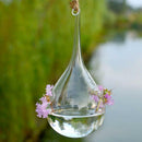 Water Drop Hanging Glass Flowers Planter Vase Terrarium Container Home Decor