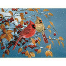 5D DIY Full Round Drill Diamond Painting Flower Bird Rhinestone Kit (B2547)