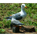 Creative Art Decor Seagull Bird Statue for Nautical Themed Room Ornament