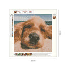 5D DIY Full Drill Diamond Painting Dog Cross Stitch Embroidery Mosaic Kit