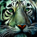 5D DIY Full Round Drill Diamond Painting Novelty Tiger Cross Stitch (B1095) A
