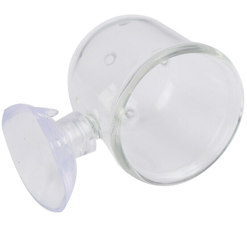 Pinhole Pot Plant Feeding Cup Holder Shrimp Aquarium Fish Tank Aquatic Fee zc Gw