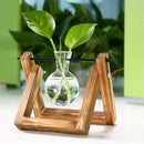 Wooden Stand Transparent Glass Plant Containers Standing Hydroponics Plant