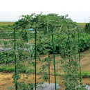 Pack Of 3 Vegetable Trellises For Climbing