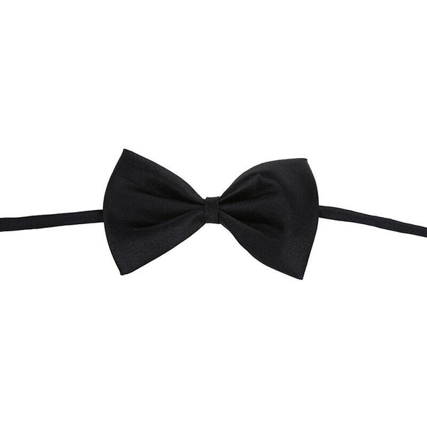 Pet Cat Dog Bow Tie - black