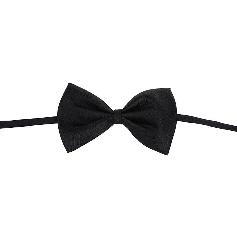 Pet Cat Dog Bow Tie - black