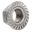 50 Pieces M6 Flange Nuts 304 Stainless Steel Hexagon Serrated Metric Thread
