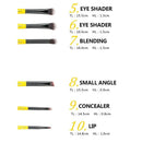 Msq 10Pcs Pro Makeup Brushes Set Face Basic Brush Blending Eyeshadow Lip Ma