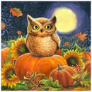 5D DIY Diamond Painting Pumpkin Full Round Rhinestone Halloween Art (B2333)
