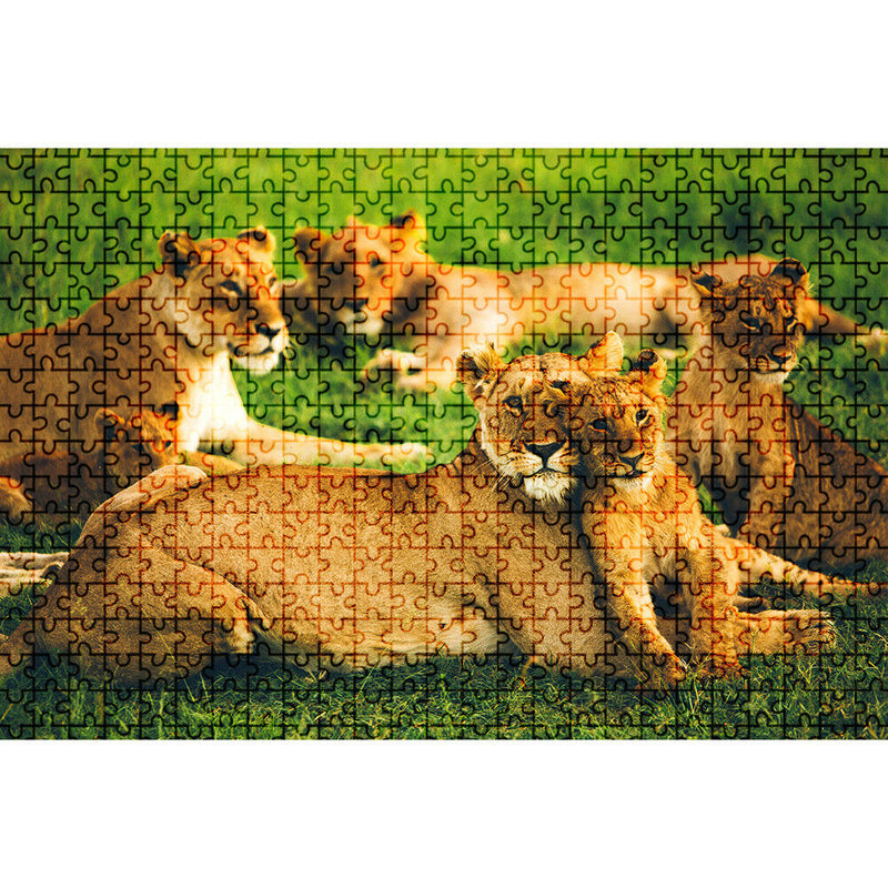 75 X 50cm 1000 Pieces Paper Jigsaw Puzzles Tiger Family Assembling Picture