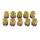 10 Pieces 1/12 Scale Decorative Artificial Succulent Cactus Plants with Wood