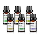 6bottle Pure Essential Oil Sets-Natural Aromatherapy For Oil Diffuser Humid P0U4