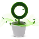 Plant Air Purifier Remove Air Pollutant And Allergen Smoke, Dust, Pollen, P