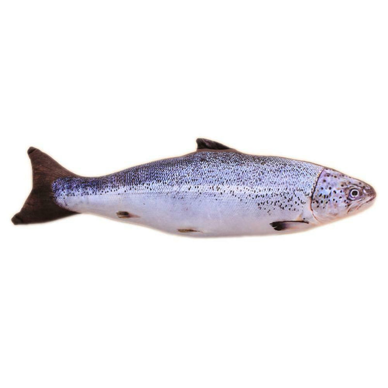 Plush Fish Shape Pet Cat Kitten Teaser Plaything Catnip Toys Pillow(20cm)