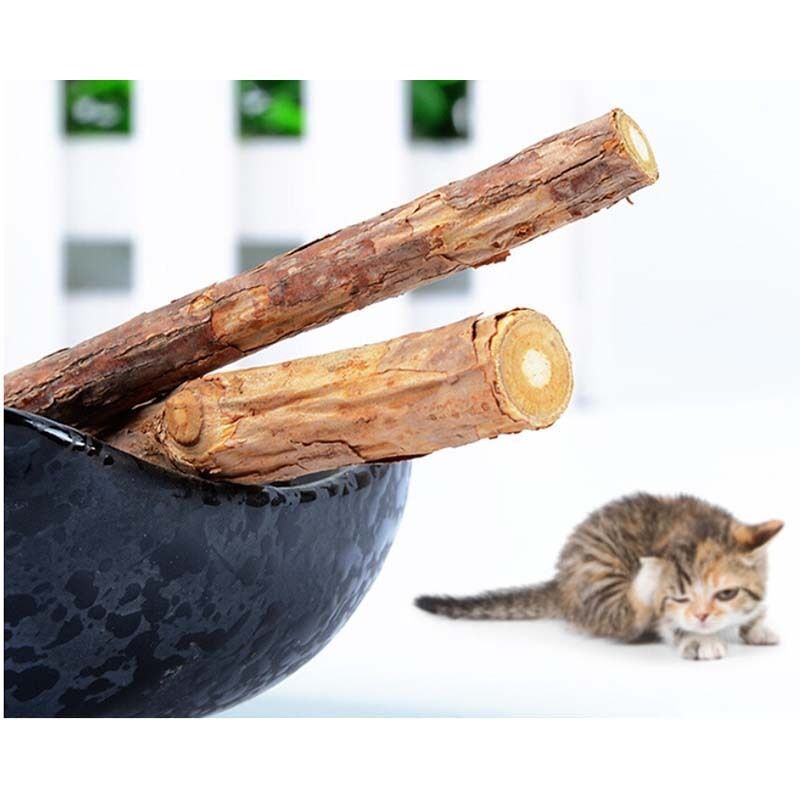 2 Pcs Cat Cleaning Teeth Pure Natural Catnip Pet Cat Molar Toothpaste Stick htTE