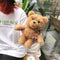 Wireless Teddy Bear Plush Earphone AirPods Case Cute Protective Cover for ApG9O9
