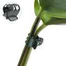 Set Plastic Plant Support Clips Orchid Stem Clip for Vine Support Tied Bundl Bj